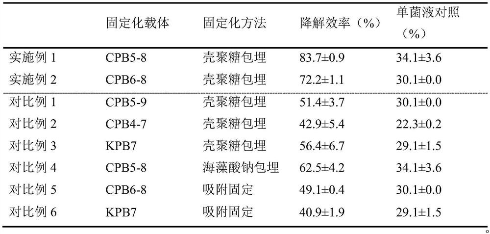 Modified charcoal immobilized petroleum degrading bacterium microspheres as well as preparation method and application thereof