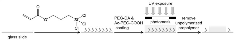 Fluorescence analysis method based on HCR and cation exchange reaction of hydrogel