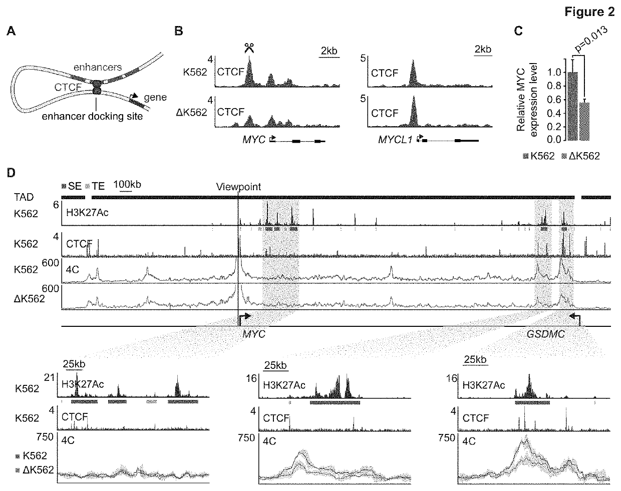 Regulation of transcription through ctcf loop anchors