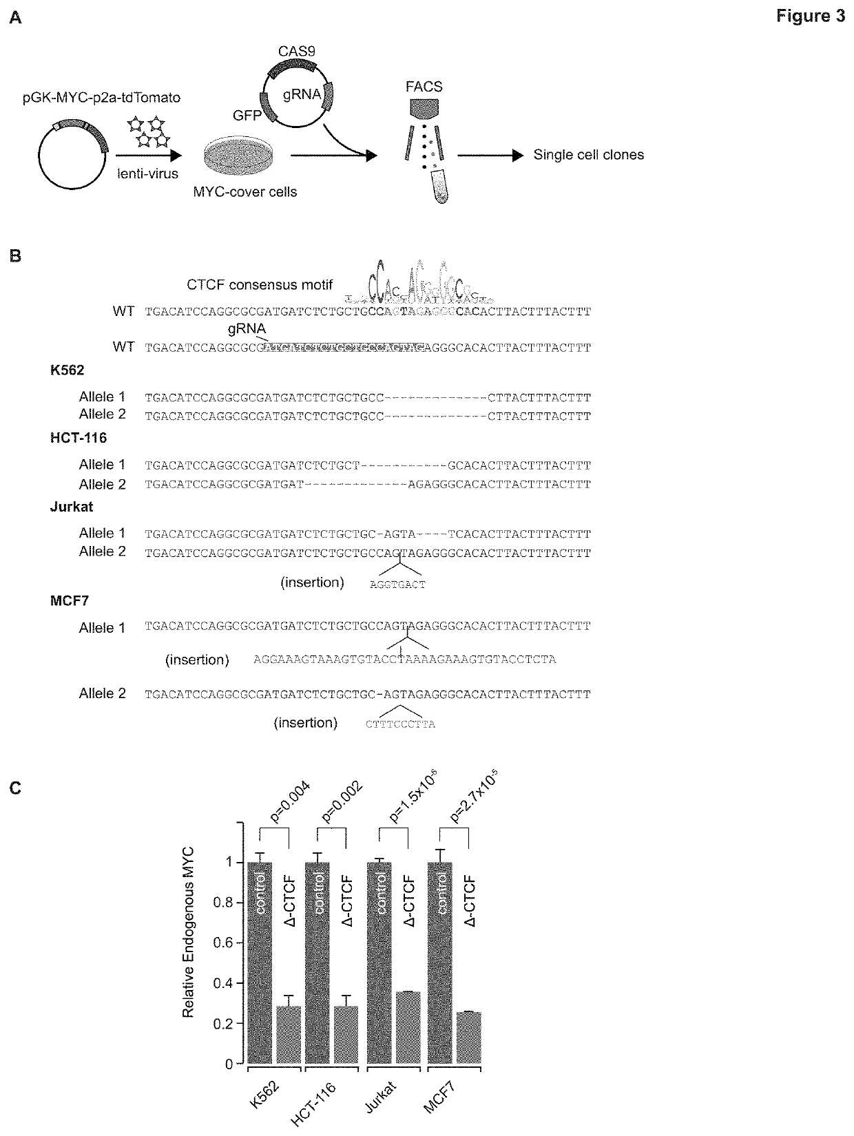 Regulation of transcription through ctcf loop anchors