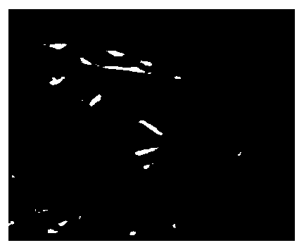 Combined treatment method for tinned copper waste and scrap and copper electrolyte