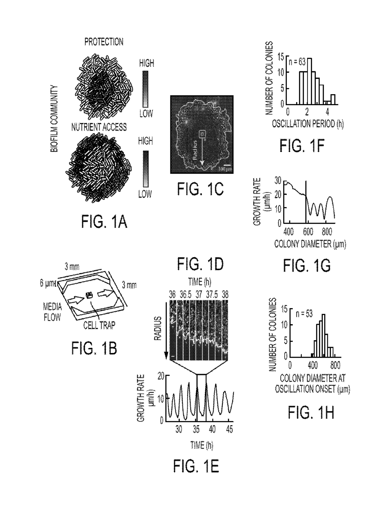 Method for Biofilm Control and Treatment