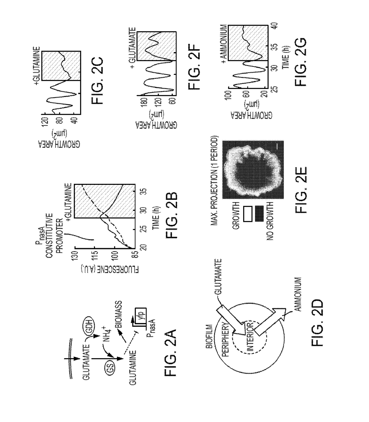 Method for Biofilm Control and Treatment