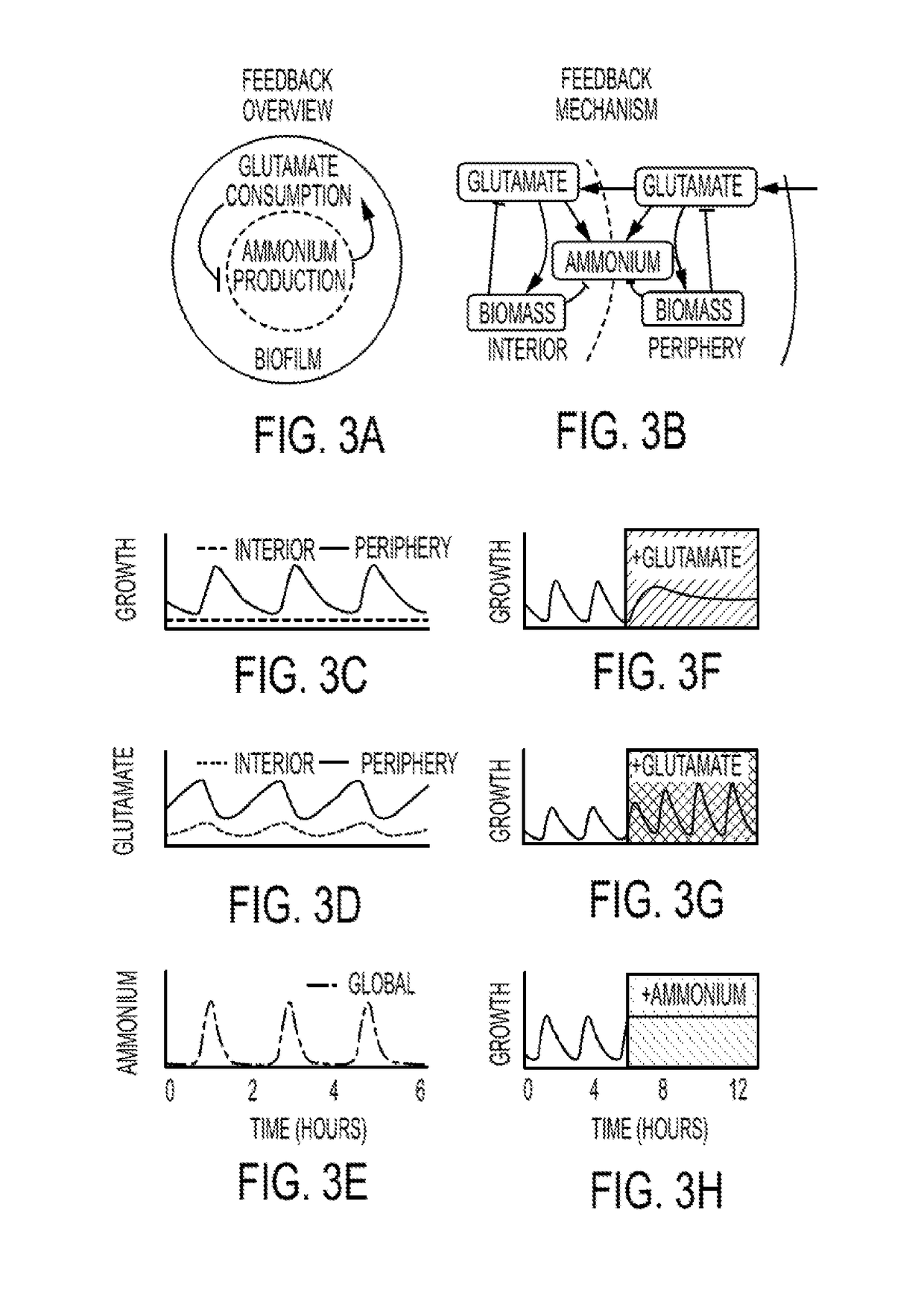 Method for Biofilm Control and Treatment