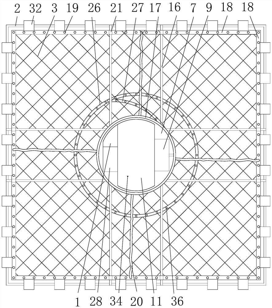 Drug application device for seawater net cage cultured fishes and drug application method