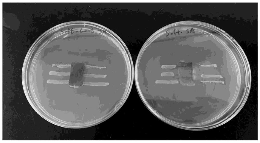 3D printing antibacterial product