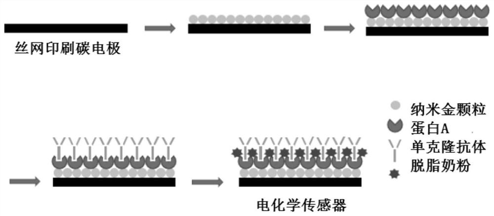 Electrochemical immunosensor as well as preparation method and application thereof