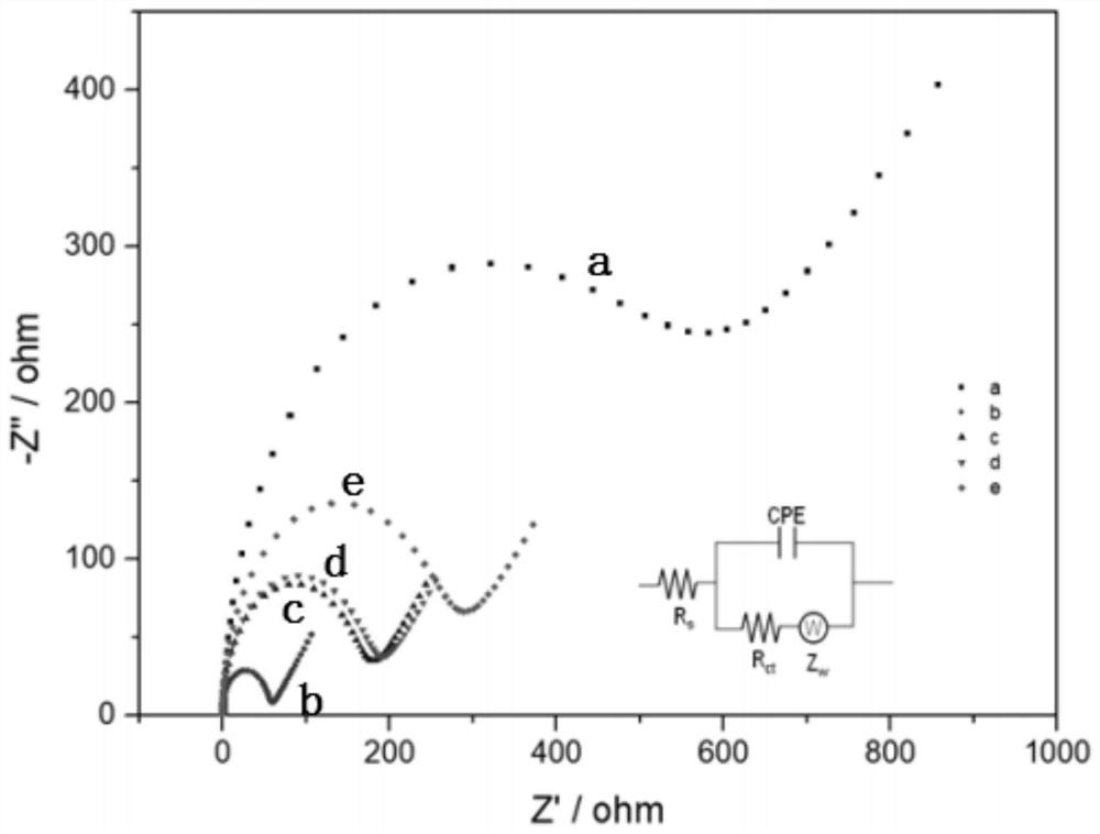 Electrochemical immunosensor as well as preparation method and application thereof