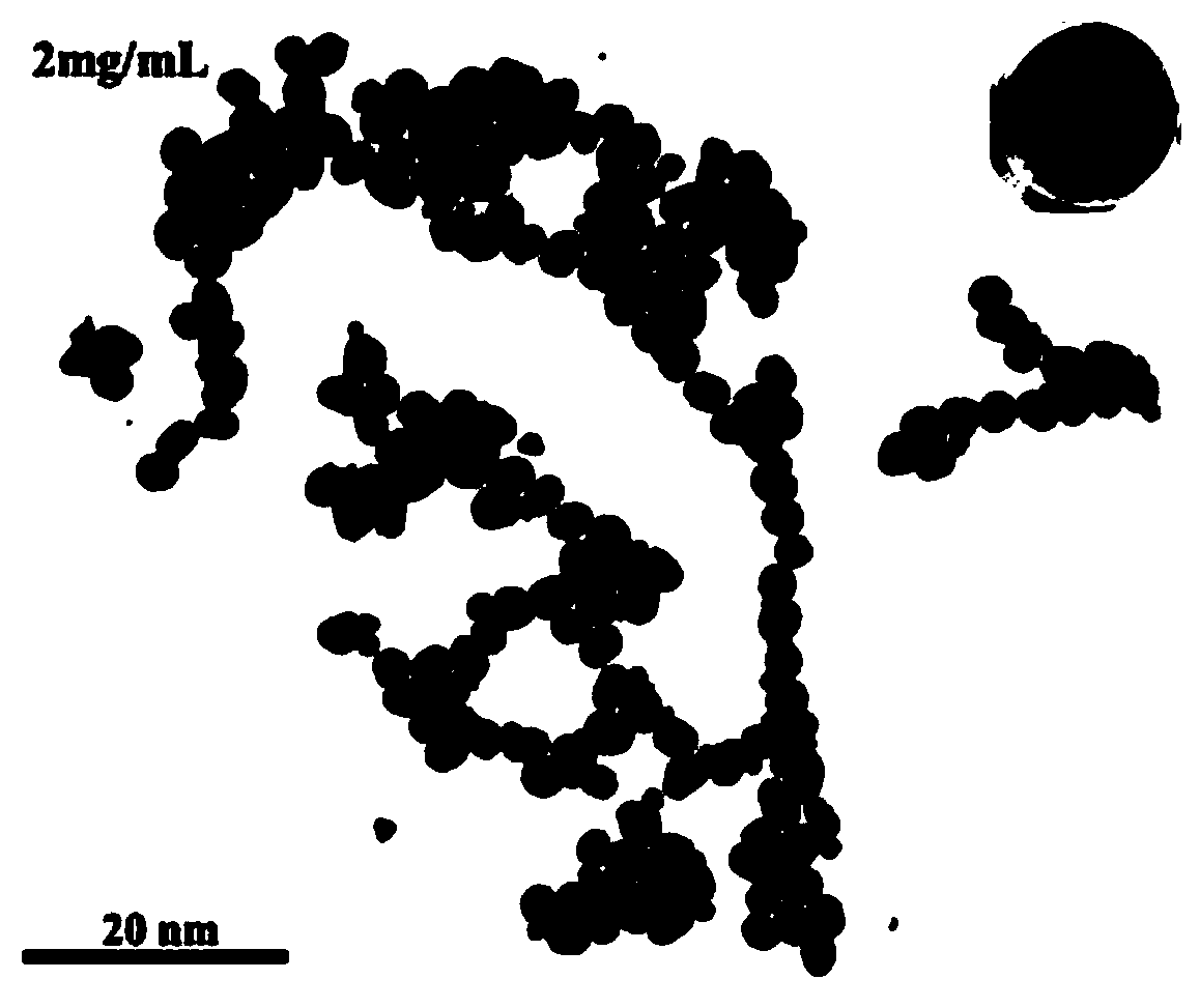 Nanogold micelle catalyst as well as preparation method and application thereof