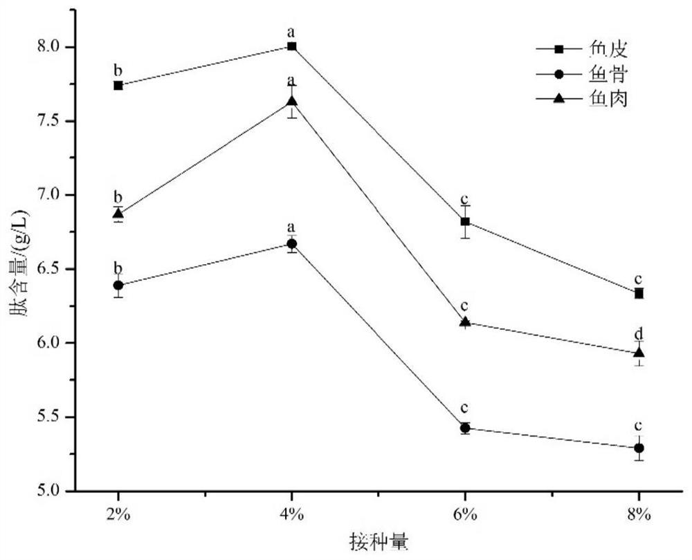 Nutritional noodles added with fish polypeptide powder and preparation method of nutritional noodles added with fish polypeptide powder