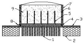 Quiet and non-flowing shallow water power generation device