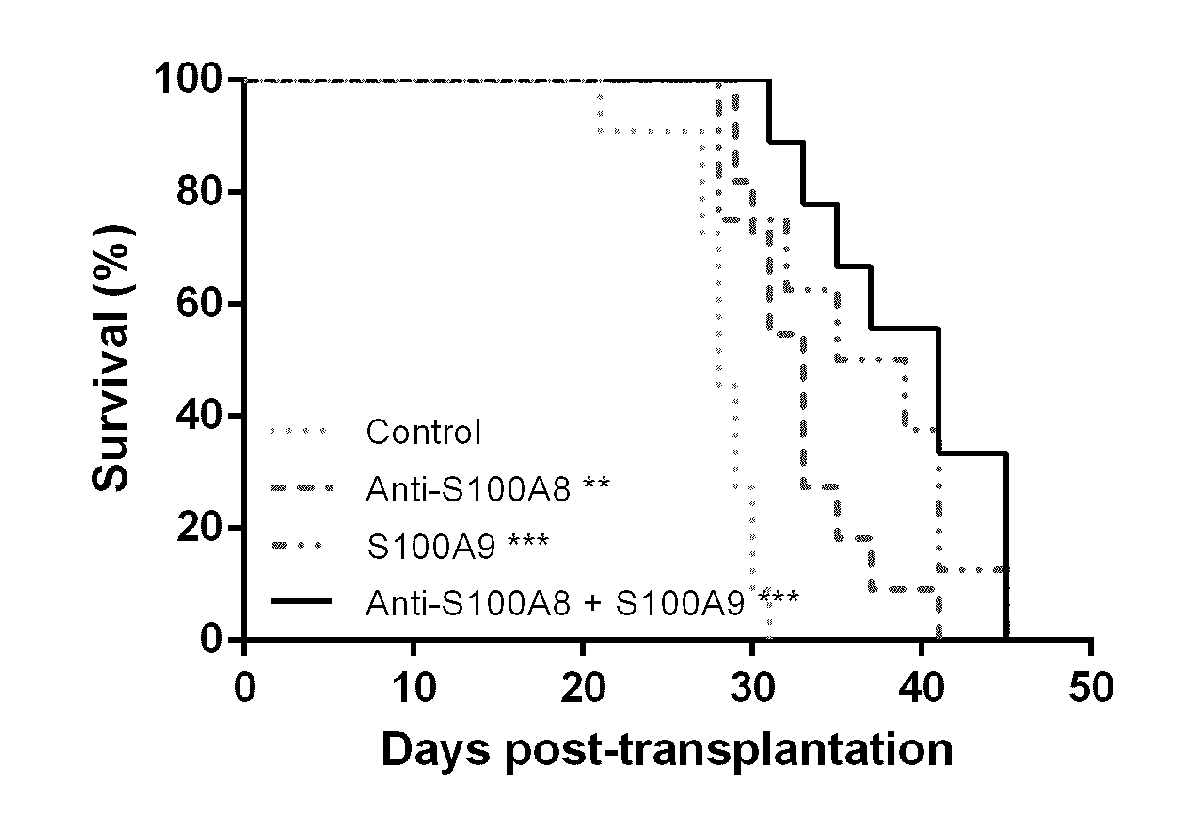 Anti-s100a8 for treating leukemia