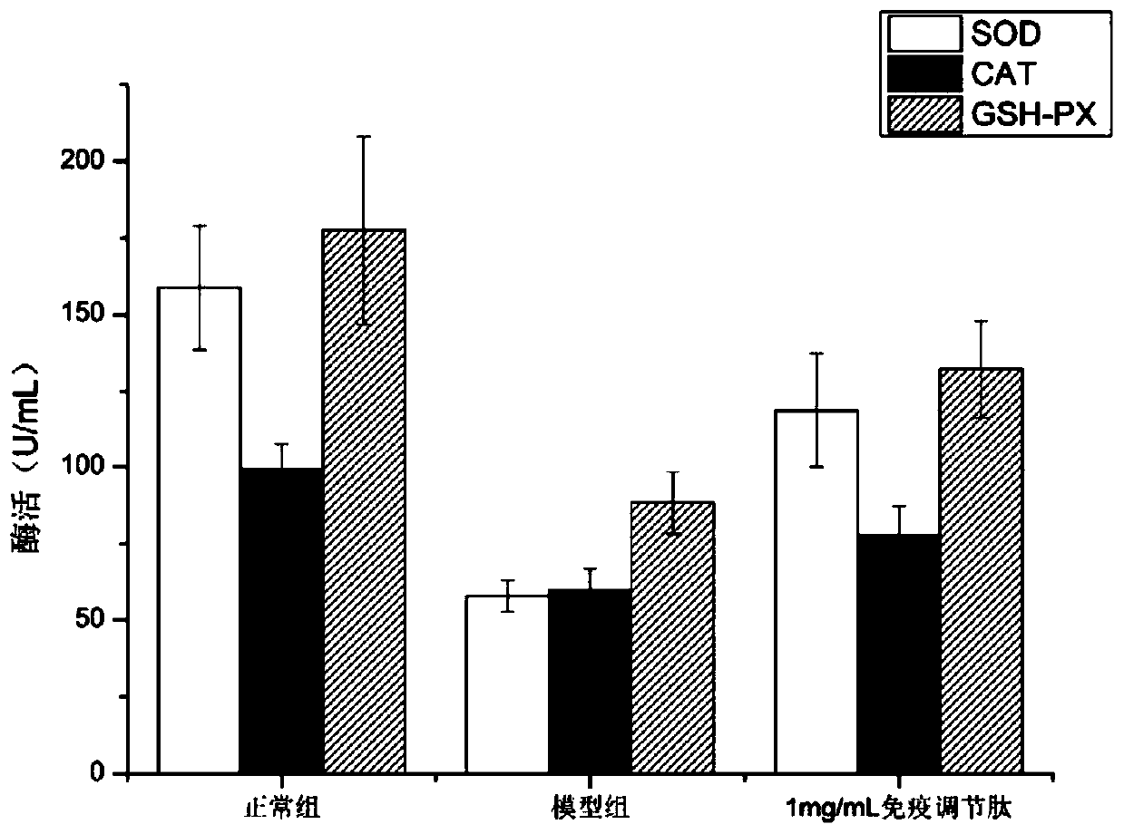 Efficient preparation method of low-value fish immunomdodulating peptides