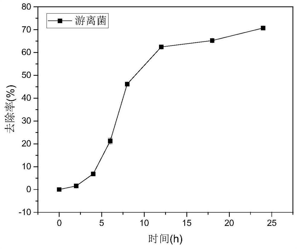 Preparation method and application of biochar immobilized denitrifying bacteria for rapidly removing nitrate in water body