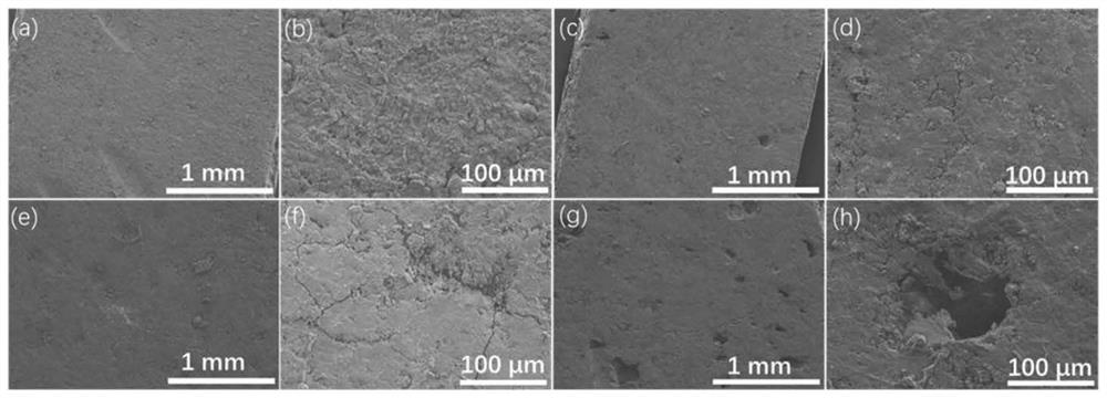 Preparation method of porous high-load electrode for lithium-sulfur battery