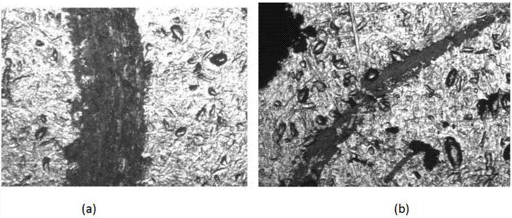 Friction coating with light-emitting early-warning function and preparation method of friction coating