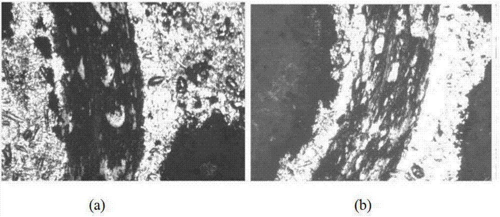 Friction coating with light-emitting early-warning function and preparation method of friction coating