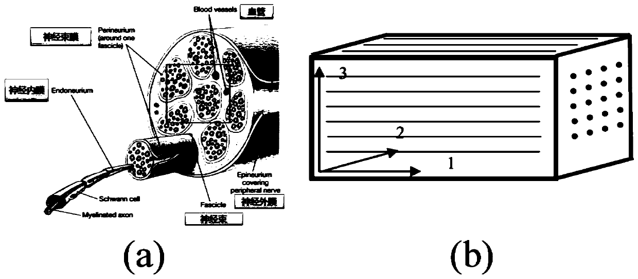 Elastic imaging method and device for measuring anisotropic elastic properties of nerves