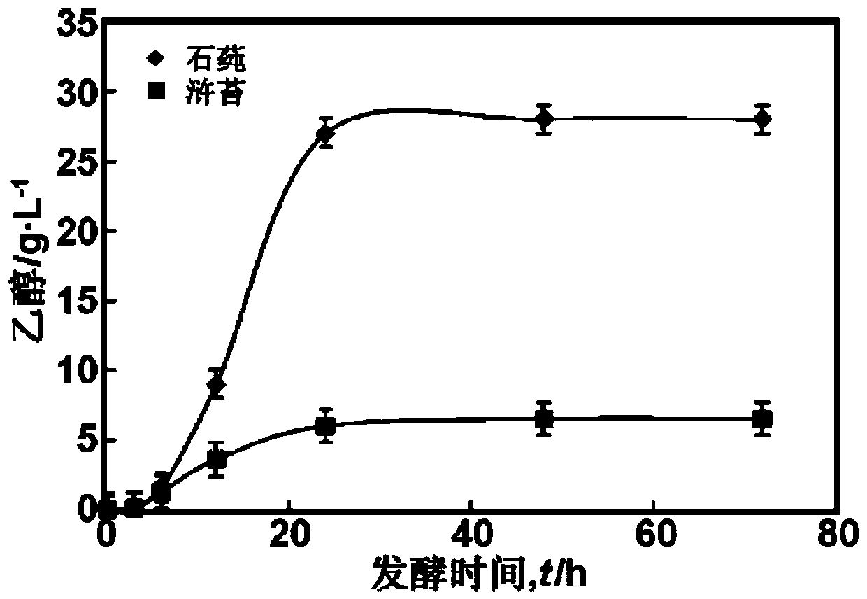 Method for producing fuel ethanol by fermentation of green alga biomass