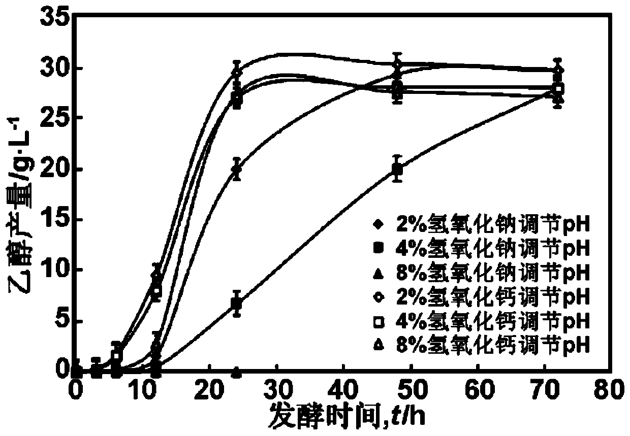 Method for producing fuel ethanol by fermentation of green alga biomass