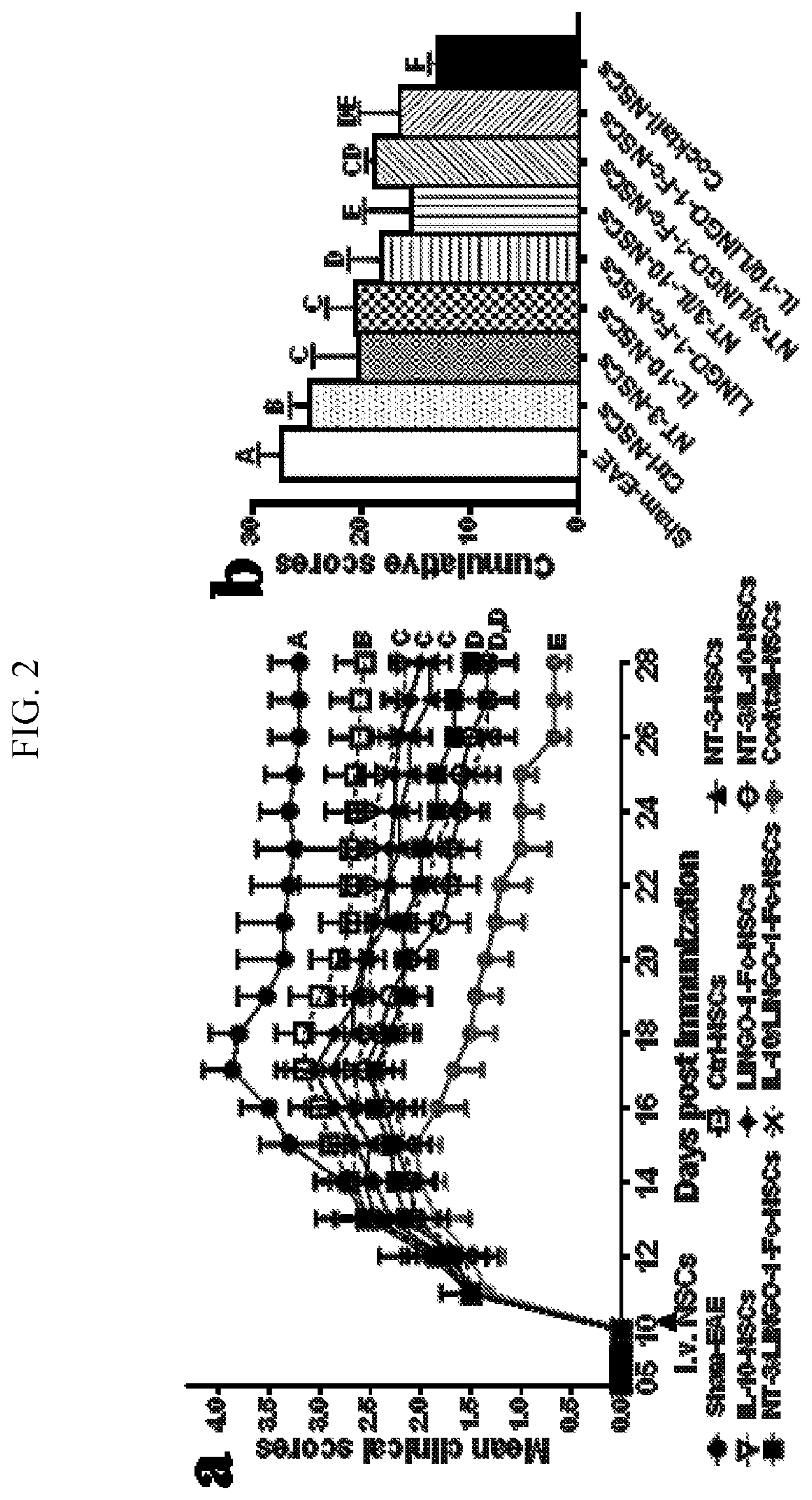 A triple-effect cocktail produced by neural stem cells as a novel neurorepair therapy for chronic stage CNS autoimmunity