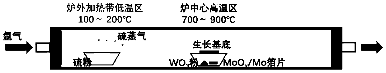 Preparation method for single-layer MoS2-WS2 transverse heterojunction