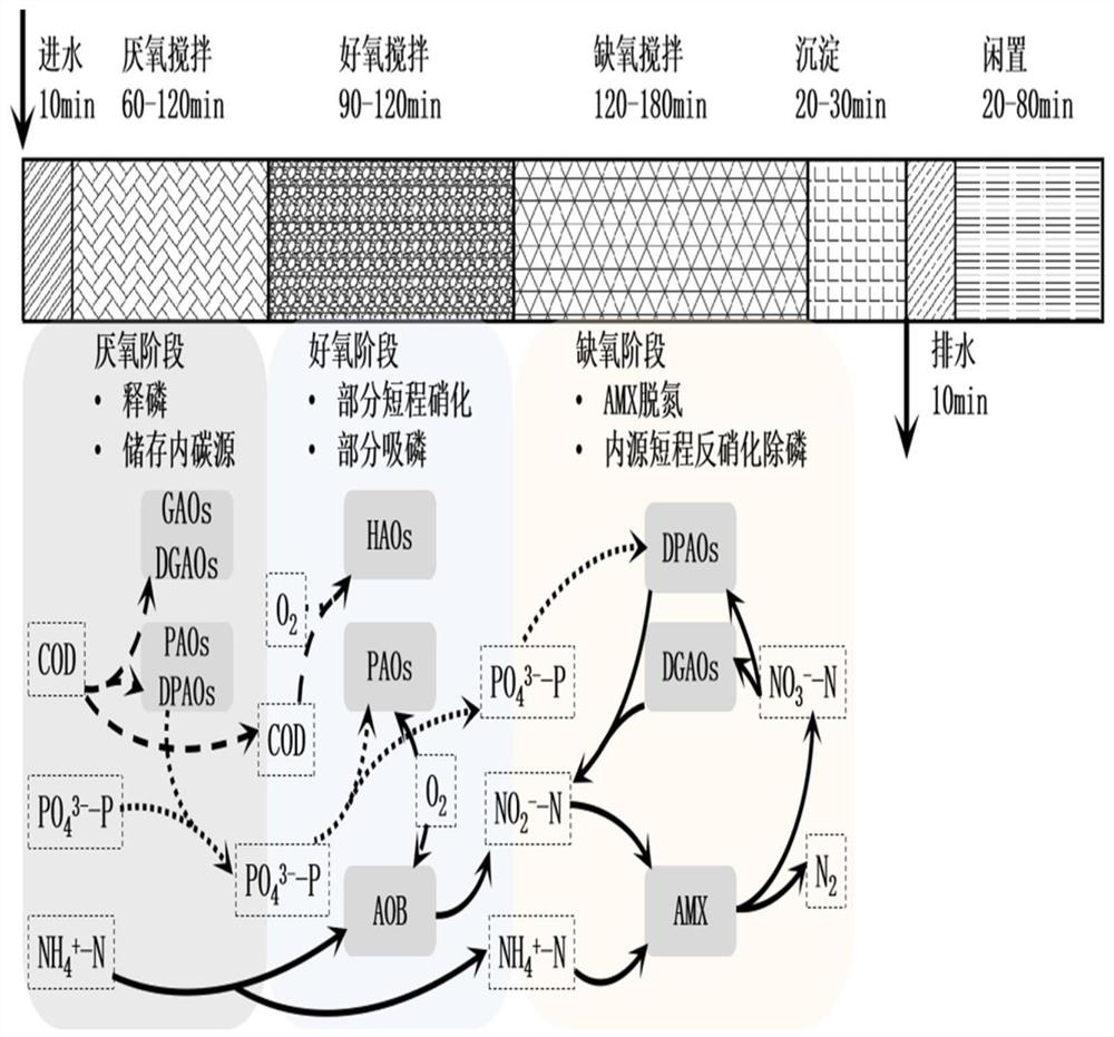 Method and device for synchronously and efficiently removing nitrogen and phosphorus from low C/N domestic sewage by using internal carbon source through single-stage sequencing batch reactor