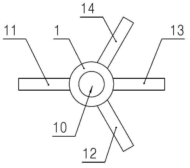 Common screw Rama