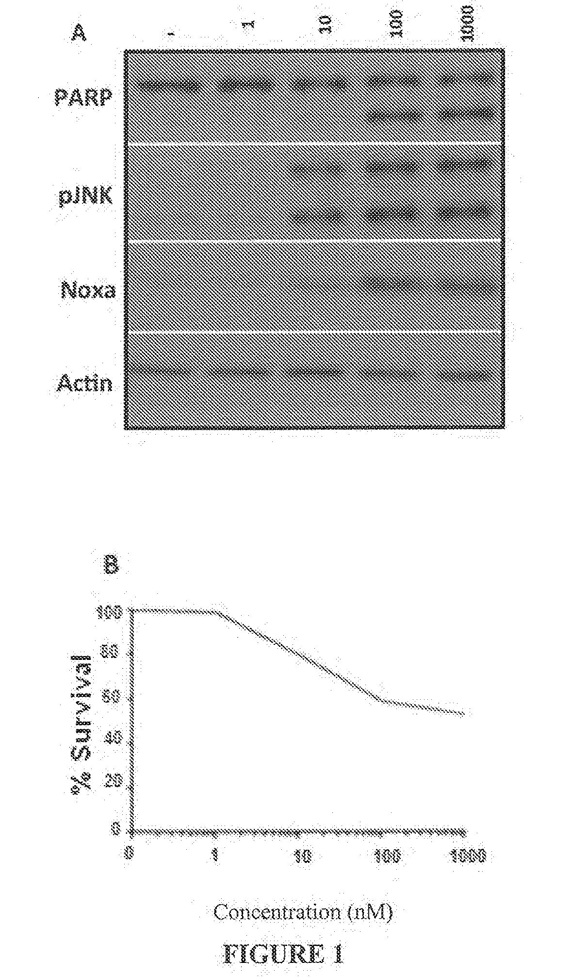 Combination treatment protocol