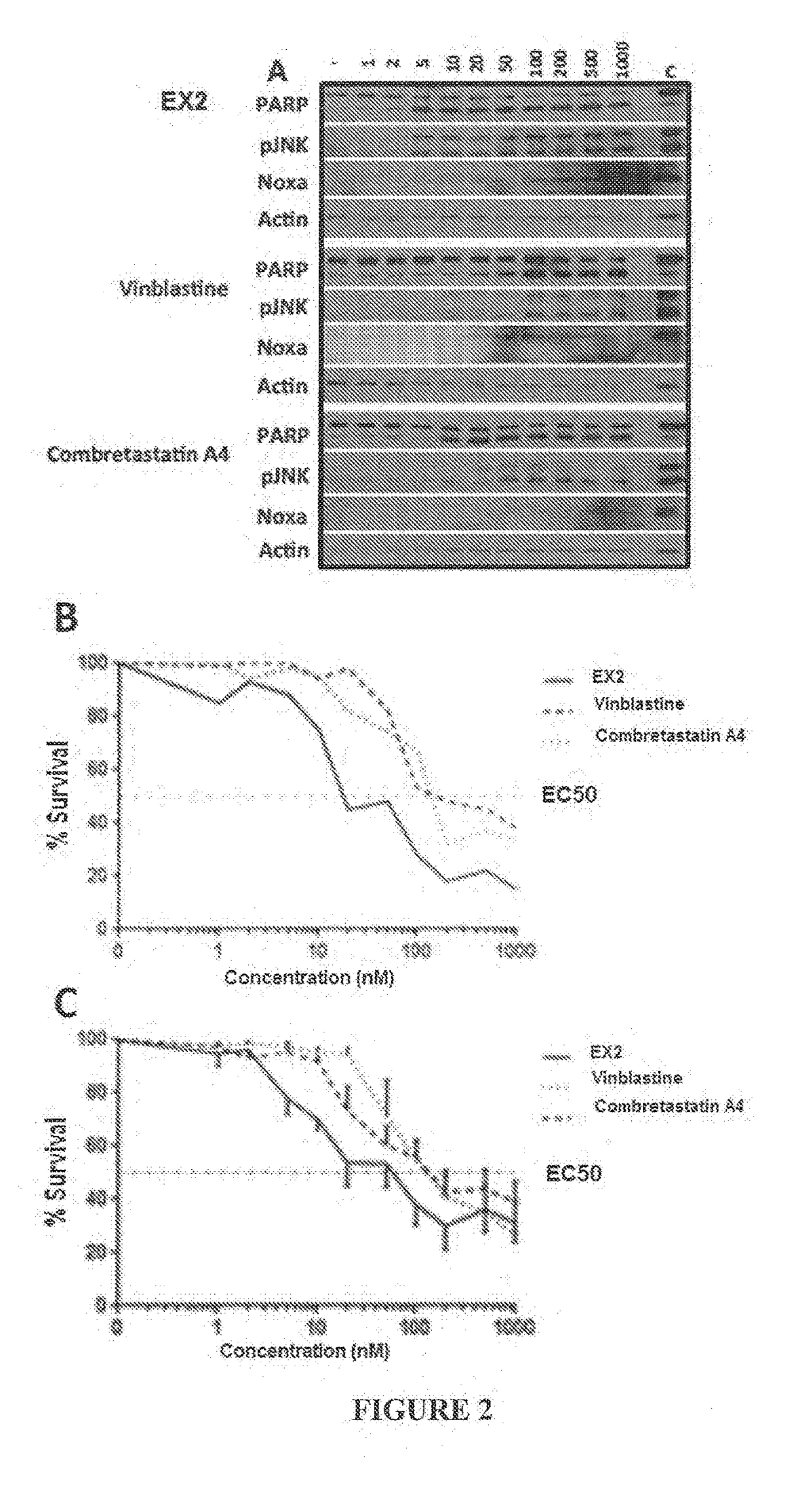 Combination treatment protocol