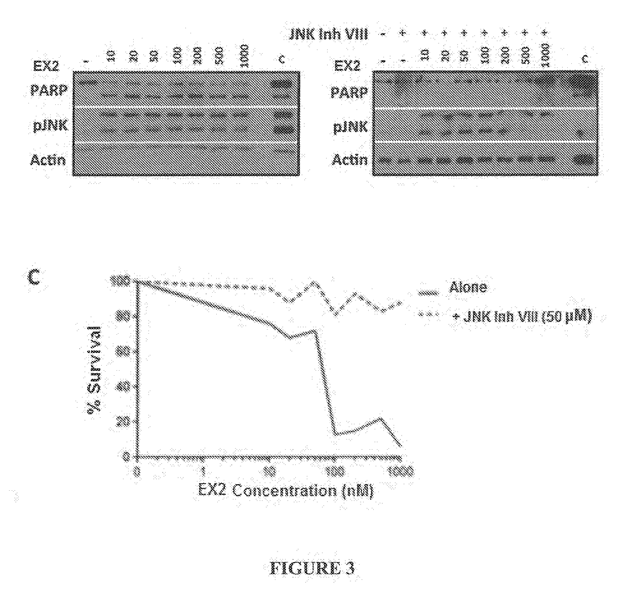 Combination treatment protocol