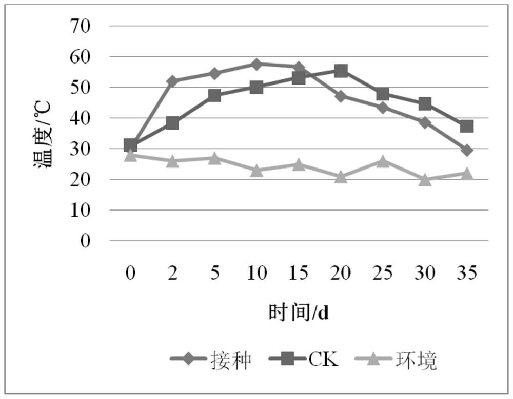 Composite microbial inoculum and application thereof to compost fermentation of alpinia speciosa K.schum. branches and leaves