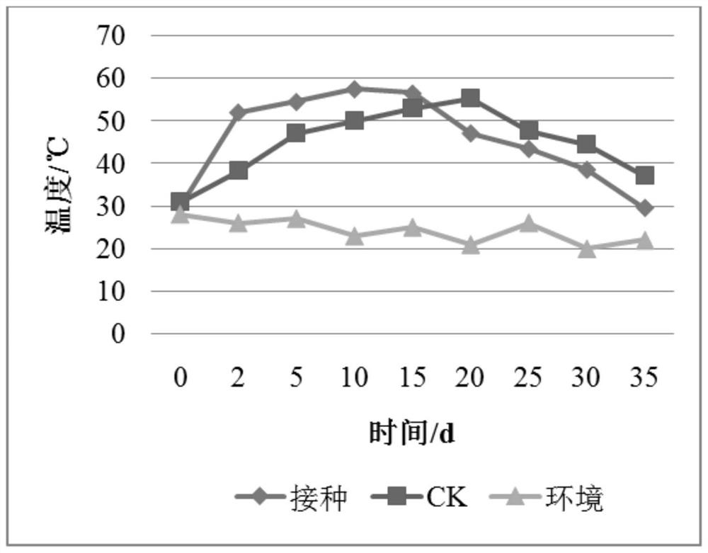 Composite microbial inoculum and application thereof to compost fermentation of alpinia speciosa K.schum. branches and leaves