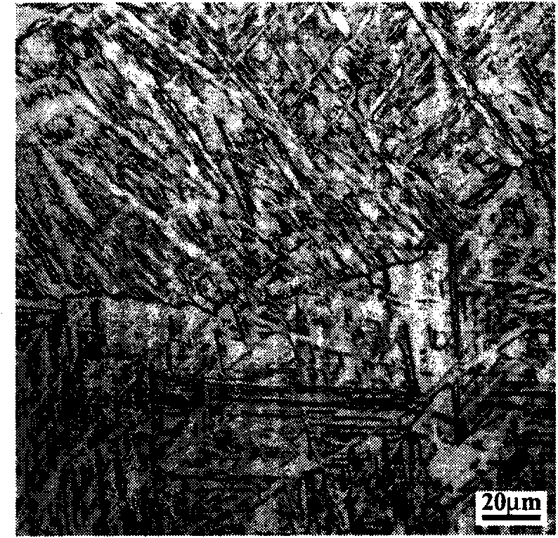 Titanium alloy for laser solid forming and laser shaping repairing