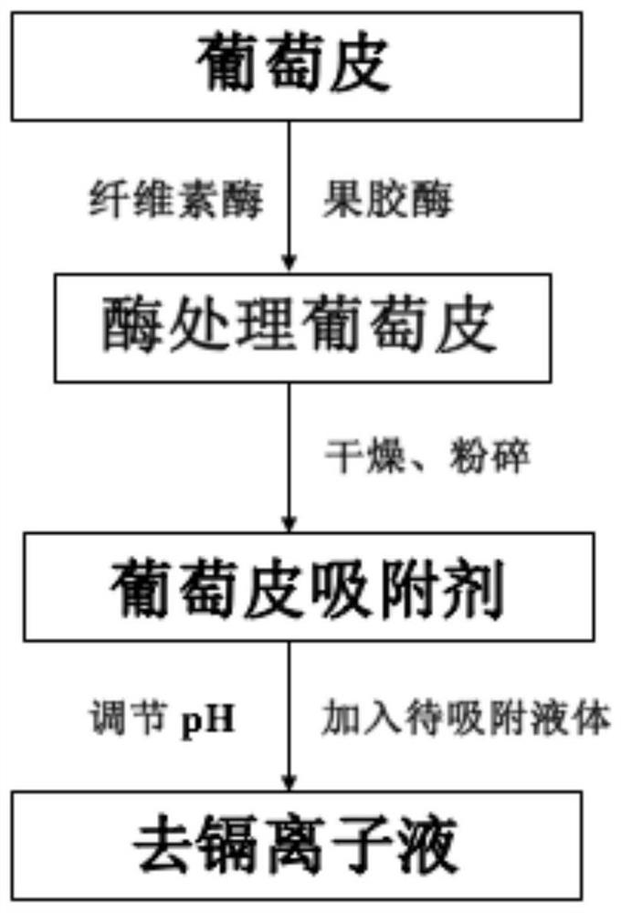 Grape skin adsorbent for adsorbing and removing cadmium ions as well as preparation method and application of grape skin adsorbent