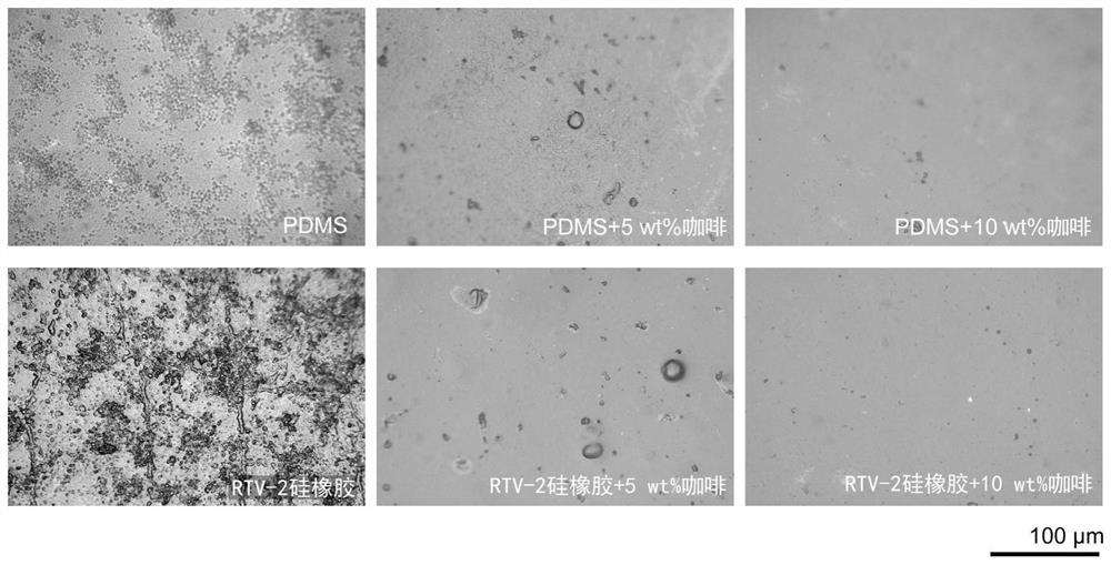 Environment-friendly marine antifouling coating and preparation method thereof