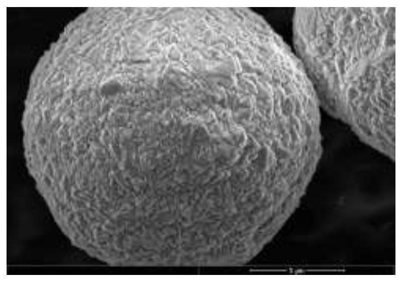 Cobalt-free precursor for lithium ion battery, positive electrode material and preparation methods of cobalt-free precursor and positive electrode material