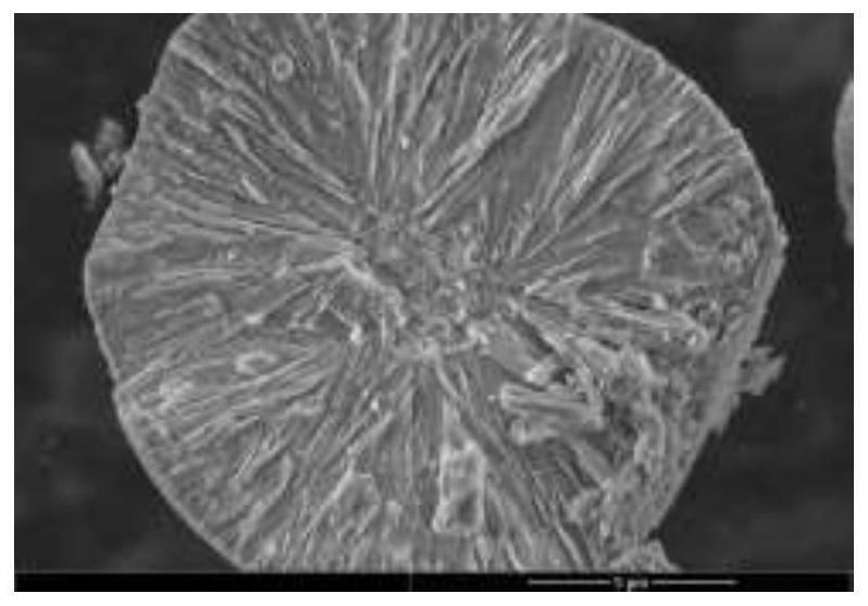 Cobalt-free precursor for lithium ion battery, positive electrode material and preparation methods of cobalt-free precursor and positive electrode material