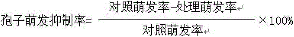 Bacillus subtilis and application thereof