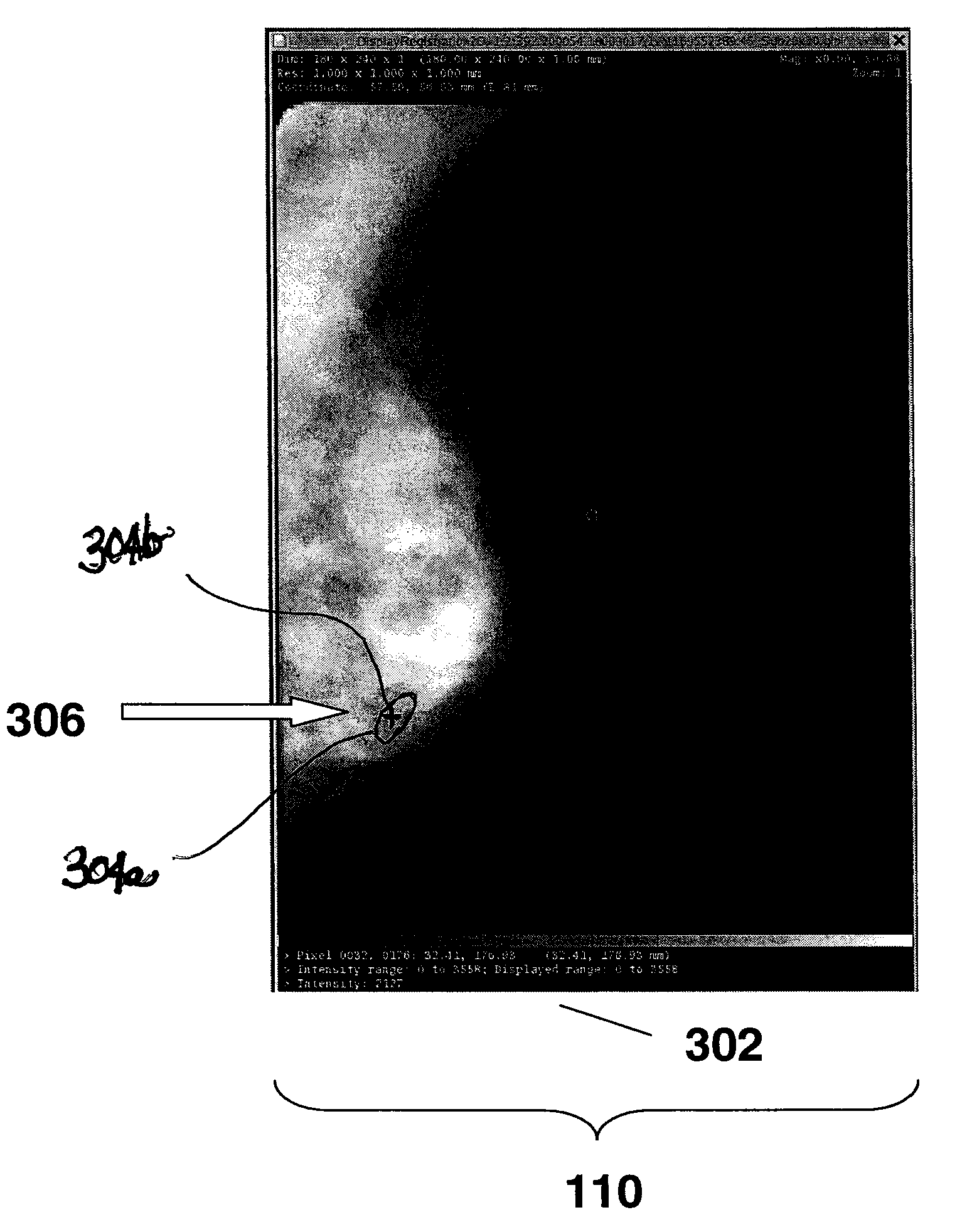 System for presenting projection image information