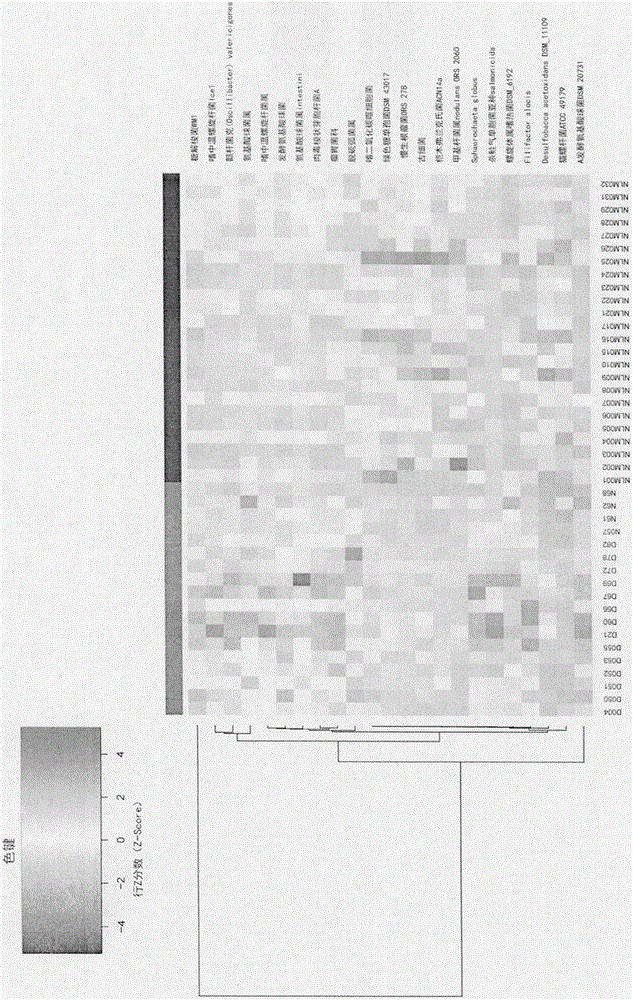 Depressive disorder biomarker and use thereof