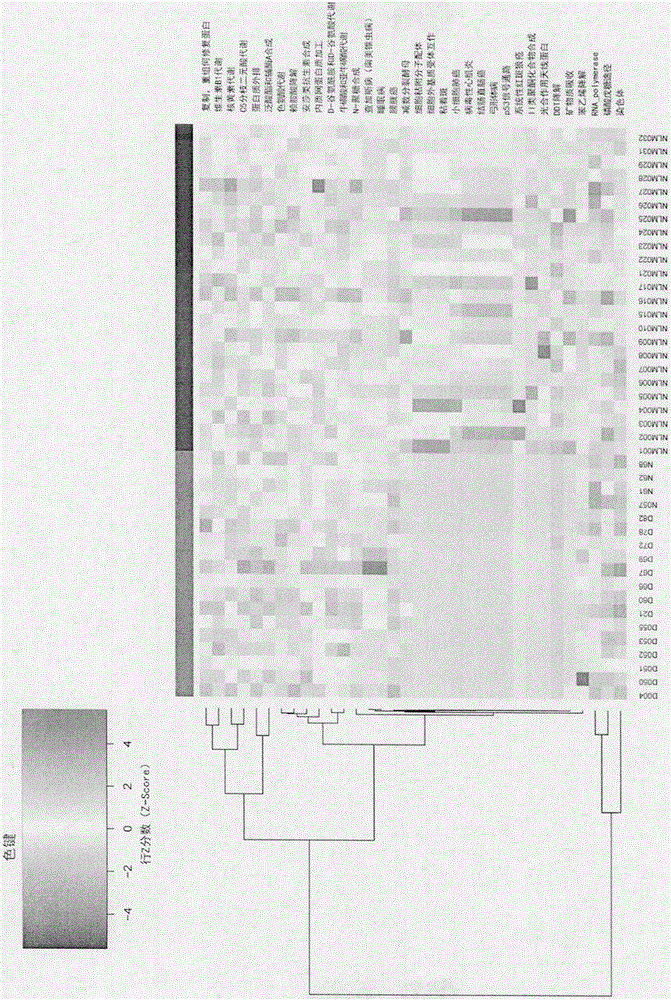 Depressive disorder biomarker and use thereof