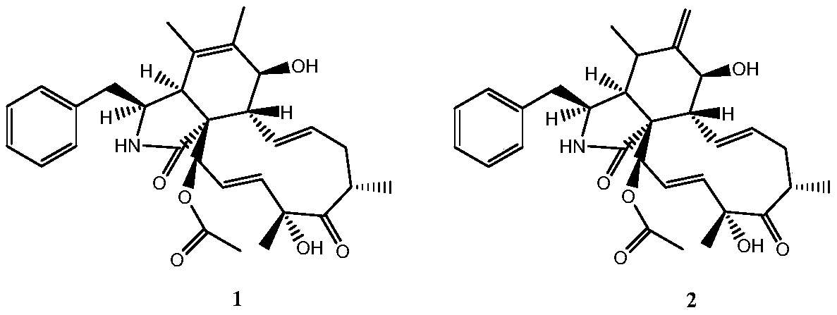 A preparation method and application of cytochalasin compounds