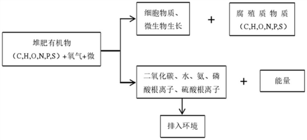 Preparation method of composite microbial agent for kitchen waste composting