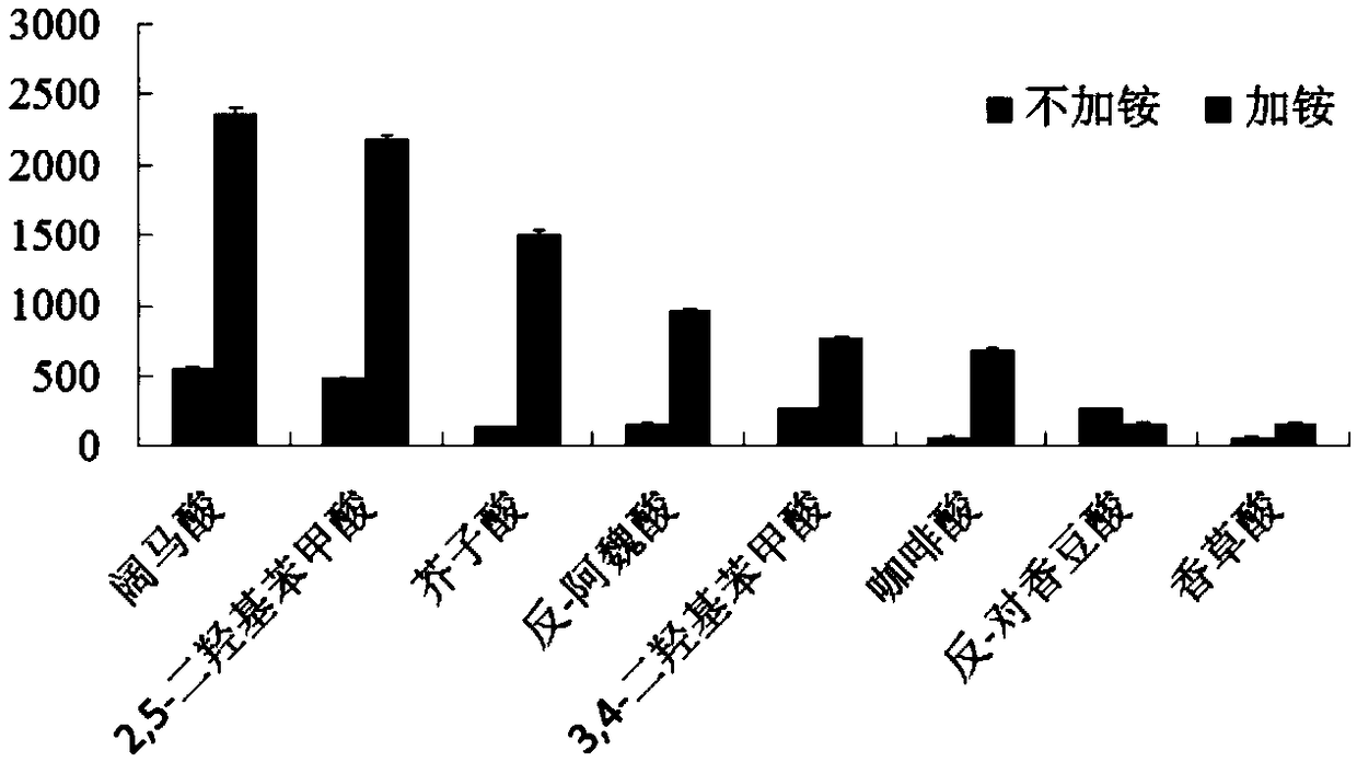 Method for separating or analyzing phenolic acid compound from burdock