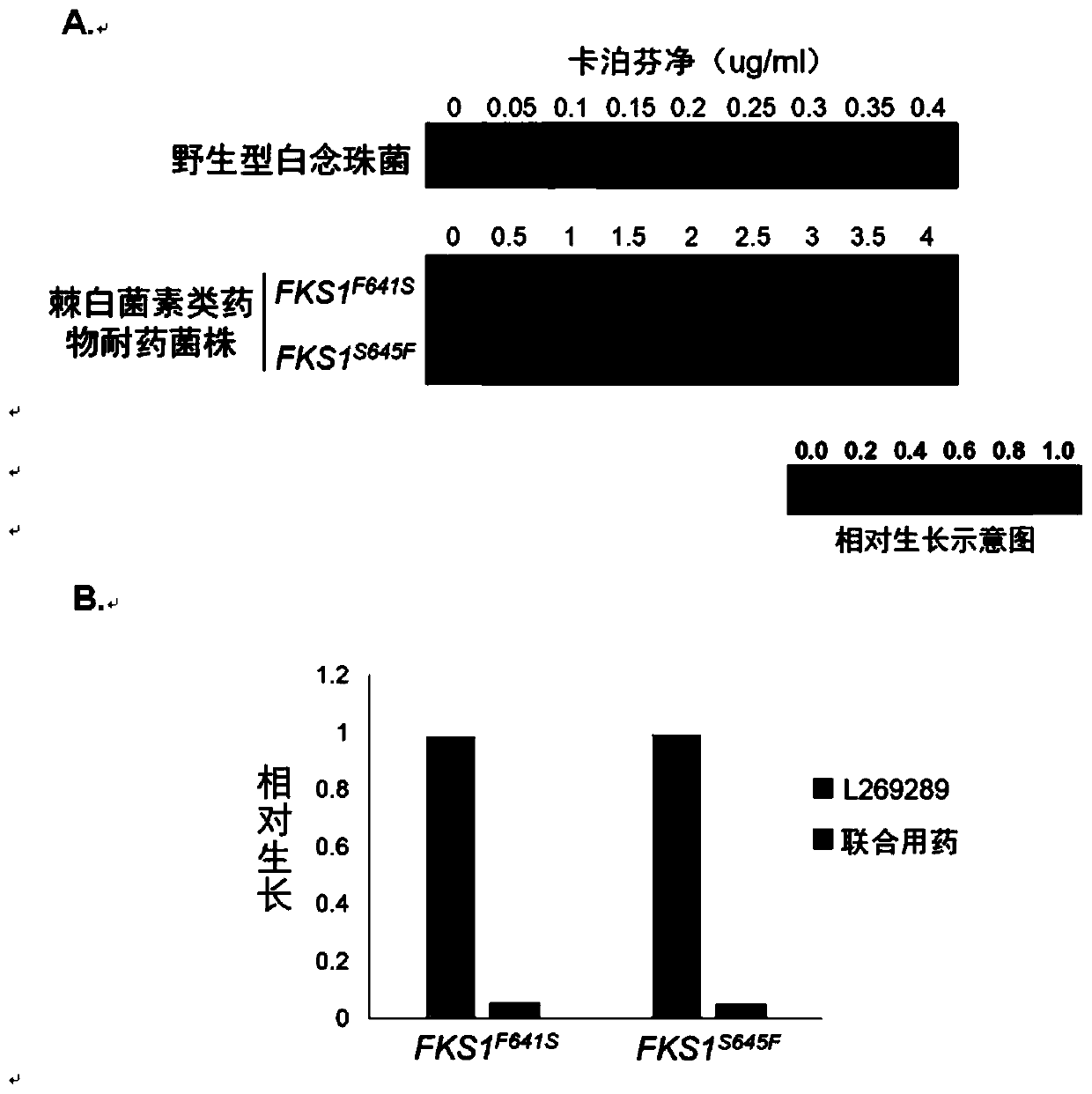 Pharmaceutical composition for candida albicans echinocandin drug-resistant bacteria and application of pharmaceutical composition