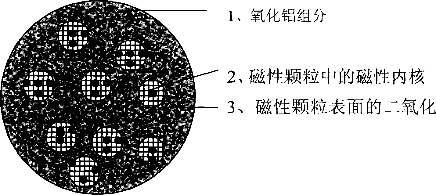 Precious metal carrying hydrogenation catalyst