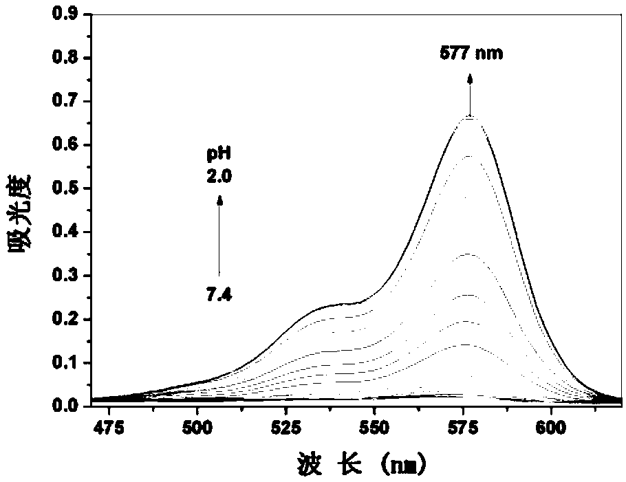 Derivative based on rhodamine B and preparation method and application thereof