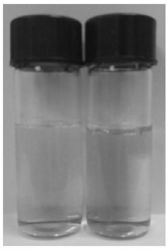 Derivative based on rhodamine B and preparation method and application thereof