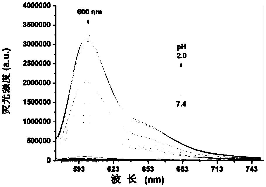 Derivative based on rhodamine B and preparation method and application thereof